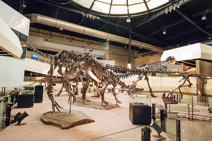 พิพิธภัณฑ์ไดโนเสาร์ภูกุ้มข้าว
