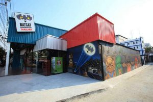 Batcat Museum & Toys Thailand kapook