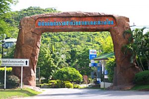 พิพิธภัณฑ์ธรรมชาติวิทยา เกาะและทะเลไทย